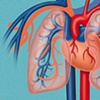 Pulmonary Circulation