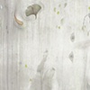 Quick Dip, detail 1
