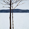 Saplings, Bingham '68
