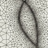 Conjunction 1