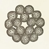 Division 5