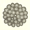 Division 6
