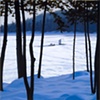 Ice Shack '68