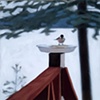 Chicadee, Bingham '68