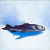 Snow/ Fish