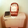 Pink Toilet (You can be Beautiful with the Beauty of Holiness)