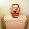 Pink Toilet (The Wise Woman Builds Her House)