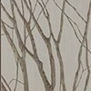 Wall Cabinet with Branches