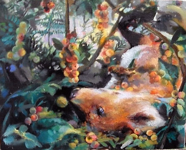 fox in landscape
