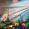 plant scape