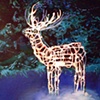 deernament