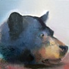 bear head