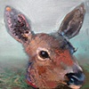 deer head