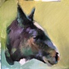 Horse Head
