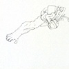 Primate Prosthesis