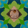 Garnish