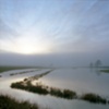 Marsh