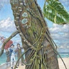 Coconut Tree