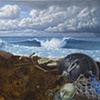 Still Life Seascape