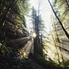 Boulder River Trail