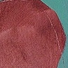 Cardinal