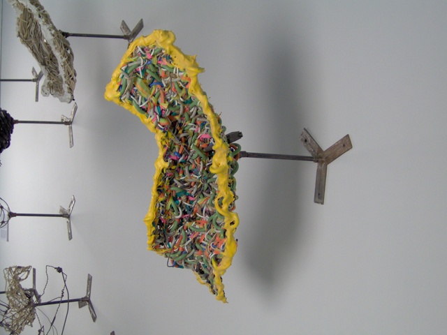 States in Verso detail Cali