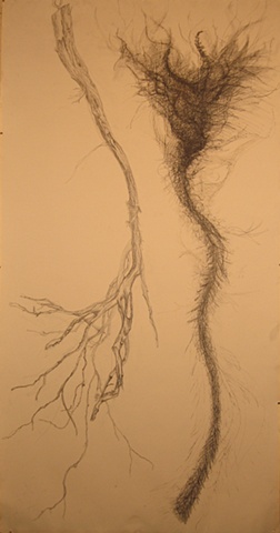 Large Branch 