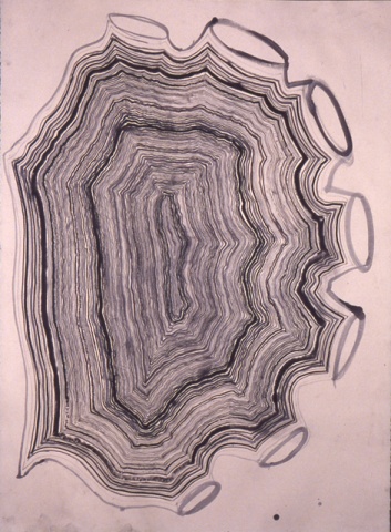 Seven-Chambered Organism
