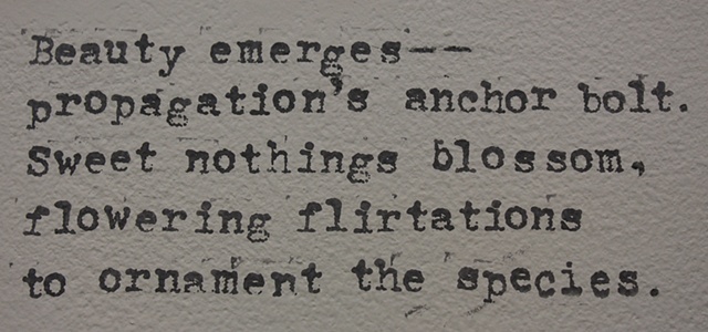 Re: text detail