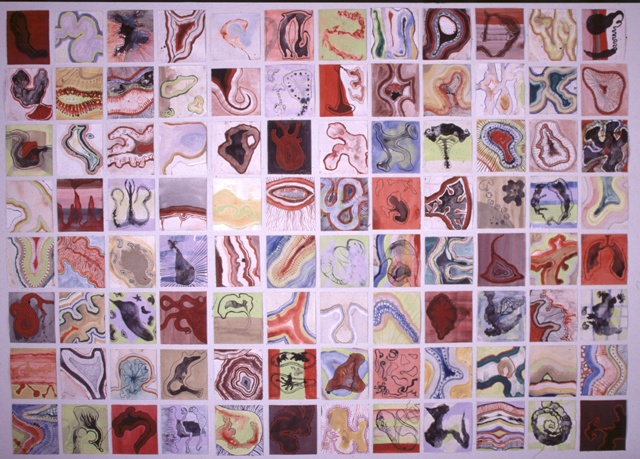 Organisms on Paper