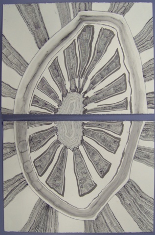 Lemon Rind Draw-Ring