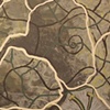 Organic Footprint