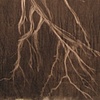 Large Branch 1