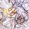 Aerial Droppings
