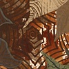 Reciprocal Staining