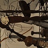 Bed, Branch, Drawing