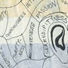 phrenology
