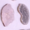 Organs of (dys)function