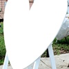 heart form