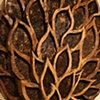 Floral Form