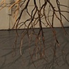 Branch Drawing Installation