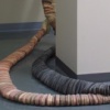 Architectural Snare