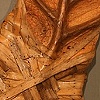 Partially Wrapped Leaf