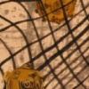 Garland Netting
