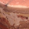 Liver