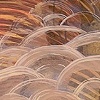 Surface Bubbling