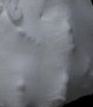 Close-up of Faces on Bunny faces skirt