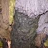 Close-up of the sandman costume