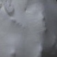 Close-up of Faces on Bunny faces skirt