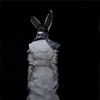 Bunny faces back